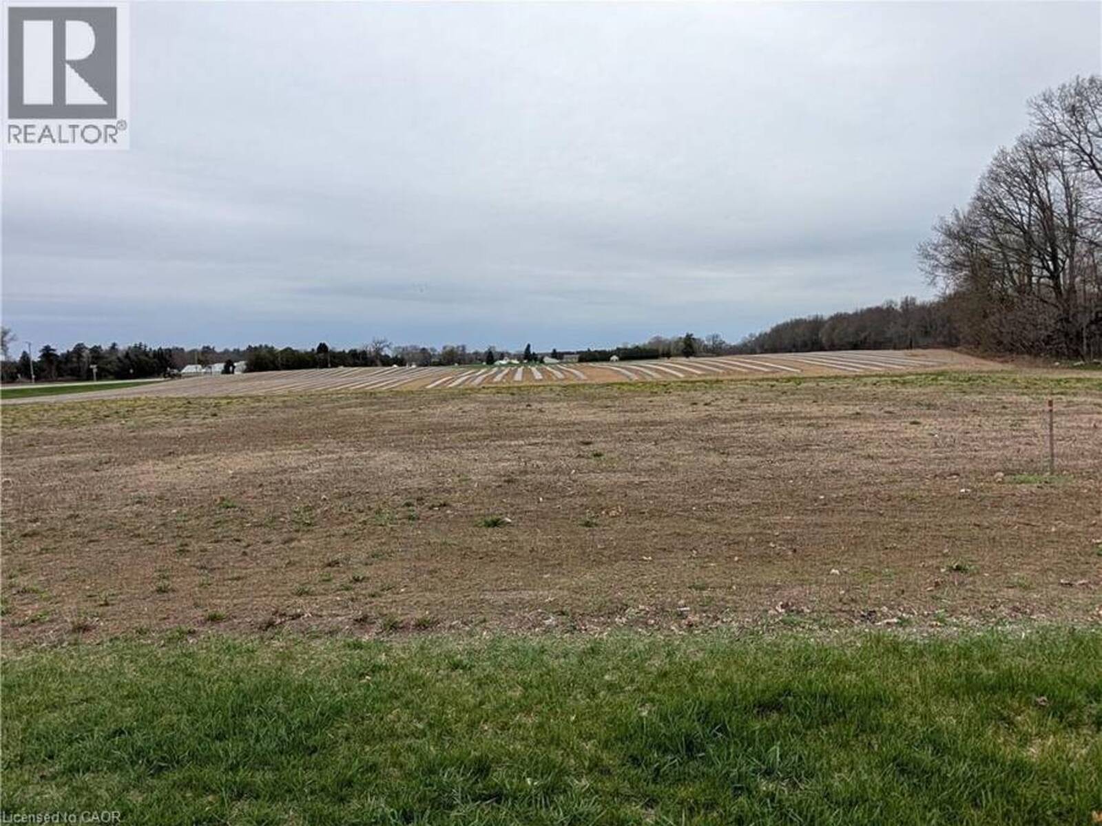 LOT 2 NORFOLK COUNTY RD 21, Delhi, Ontario N4B 2W4