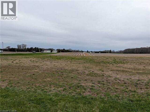 LOT 1 NORFOLK COUNTY RD 21 Delhi Ontario, N4B 2W4 - Vacant Land For Sale