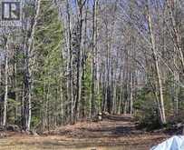 411A PEGGS MOUNTAIN Road | Burk's Falls Ontario | Slide Image Thirty-two