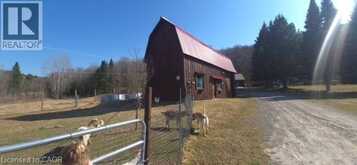 411A PEGGS MOUNTAIN Road | Burk's Falls Ontario | Slide Image Thirty-seven