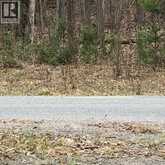 5 MOUNTAIN BASIN Drive | Parry Sound Ontario | Slide Image Nine