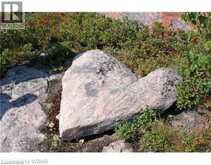 3351 MILLER Island | French River Ontario | Slide Image Five