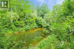 0 SWIMMING POOL Road | La Salette Ontario | Slide Image Nineteen