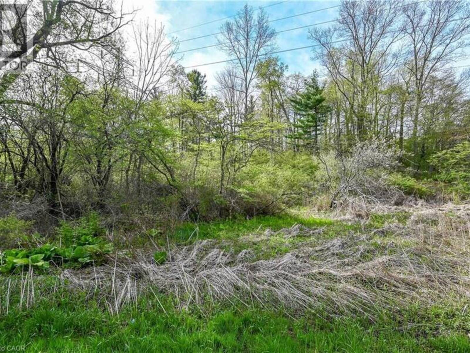 0 MINERAL SPRINGS Road, Ancaster, Ontario L9H 5E3
