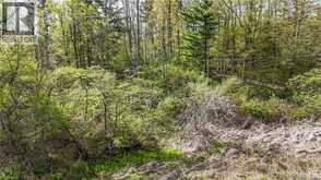 0 MINERAL SPRINGS Road | Ancaster Ontario | Slide Image Two