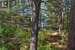 216 SMOOTH ROCK Road | Port Severn Ontario | Slide Image Thirty-nine