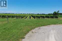 3705 SERVICE Road N | Beamsville Ontario | Slide Image Seventeen