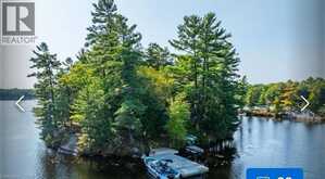 431 HEALEY LAKE | Carling Ontario | Slide Image Three