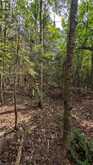 LOT 1 ON-17 TRANS CANADA Highway | Bruce Mines Ontario | Slide Image Five