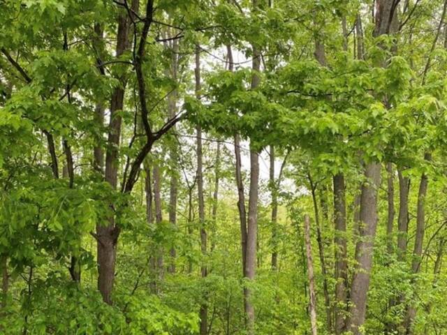 N/A REGIONAL RD 46 Road Cambridge Ontario, N1R 5S3 - Vacant Land For Sale