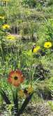 110 MONCK Square | Deep River Ontario | Slide Image Twenty-eight