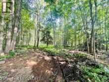 330 13TH CONCESSION Road | Brant Ontario | Slide Image Eight