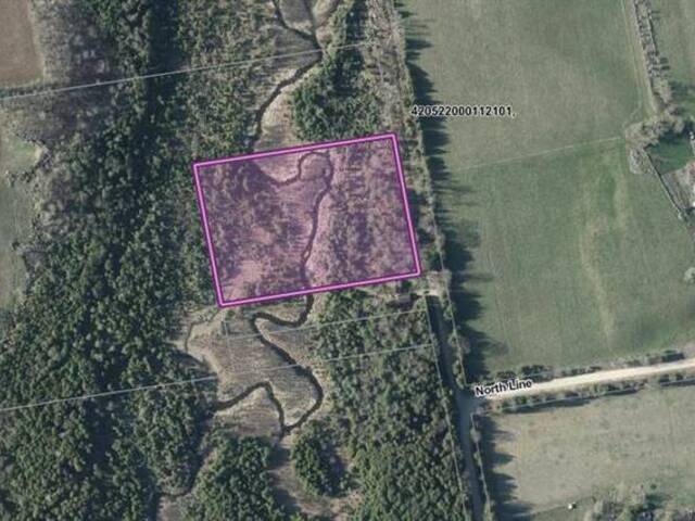 PT LT 48 CONCESSION 3 Road Priceville Ontario, N0C 1K0 - Vacant Land For Sale
