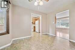 22 GREEN WARBLER Crescent | Elmira Ontario | Slide Image Thirteen