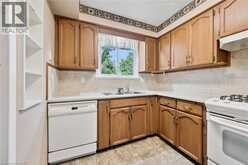 22 GREEN WARBLER Crescent | Elmira Ontario | Slide Image Fifteen