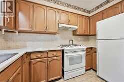 22 GREEN WARBLER Crescent | Elmira Ontario | Slide Image Sixteen