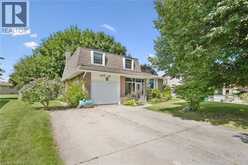 22 GREEN WARBLER Crescent | Elmira Ontario | Slide Image Two