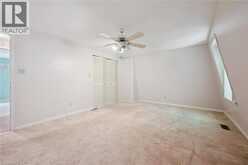 22 GREEN WARBLER Crescent | Elmira Ontario | Slide Image Thirty