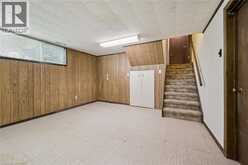 22 GREEN WARBLER Crescent | Elmira Ontario | Slide Image Thirty-one