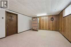 22 GREEN WARBLER Crescent | Elmira Ontario | Slide Image Thirty-two