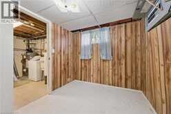 22 GREEN WARBLER Crescent | Elmira Ontario | Slide Image Thirty-four