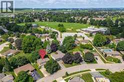 22 GREEN WARBLER Crescent | Elmira Ontario | Slide Image Forty-seven