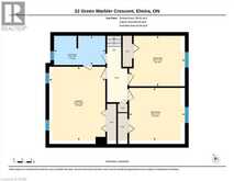 22 GREEN WARBLER Crescent | Elmira Ontario | Slide Image Fifty
