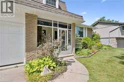 22 GREEN WARBLER Crescent | Elmira Ontario | Slide Image Five
