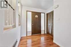 22 GREEN WARBLER Crescent | Elmira Ontario | Slide Image Eight