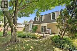 22 GREEN WARBLER Crescent | Elmira Ontario | Slide Image Thirty-six