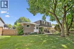 22 GREEN WARBLER Crescent | Elmira Ontario | Slide Image Thirty-seven