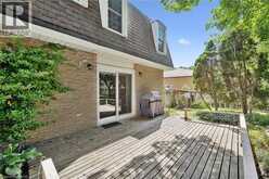 22 GREEN WARBLER Crescent | Elmira Ontario | Slide Image Thirty-eight