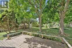 22 GREEN WARBLER Crescent | Elmira Ontario | Slide Image Thirty-nine