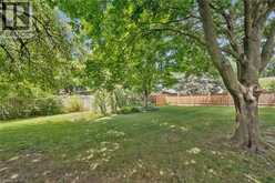 22 GREEN WARBLER Crescent | Elmira Ontario | Slide Image Forty