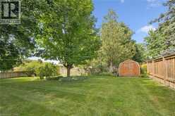 22 GREEN WARBLER Crescent | Elmira Ontario | Slide Image Forty-one
