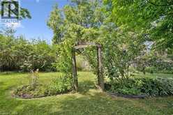 22 GREEN WARBLER Crescent | Elmira Ontario | Slide Image Forty-two