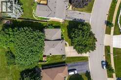 22 GREEN WARBLER Crescent | Elmira Ontario | Slide Image Forty-three