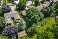 22 GREEN WARBLER Crescent | Elmira Ontario | Slide Image Forty-four