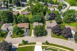 22 GREEN WARBLER Crescent | Elmira Ontario | Slide Image Forty-five