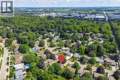 22 GREEN WARBLER Crescent | Elmira Ontario | Slide Image Forty-eight