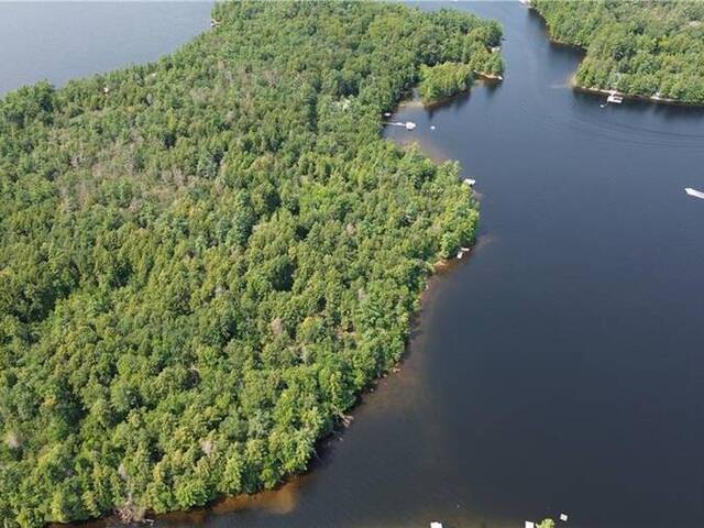 BLADE GOLD LAKE Island North Kawartha Ontario, K0L 1J0 - Waterfront Land For Sale
