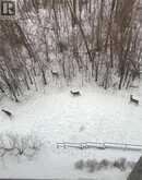 50 BRYAN Court Unit# 407 | Kitchener Ontario | Slide Image Thirty-two