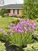 4276 WESTBROOK Road | Binbrook Ontario | Slide Image Three