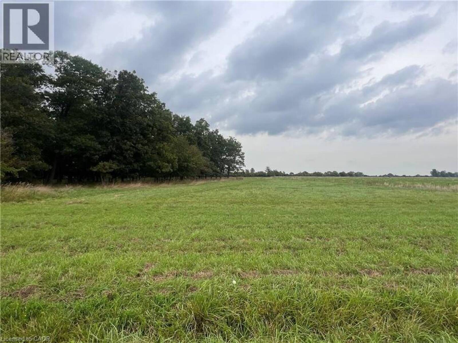 0 LINK Road, Cayuga, Ontario N0A 1E0