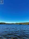 1257 PAINT LAKE Road | Lake of Bays Ontario | Slide Image Twenty-six