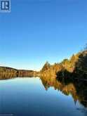 1257 PAINT LAKE Road | Lake of Bays Ontario | Slide Image Four