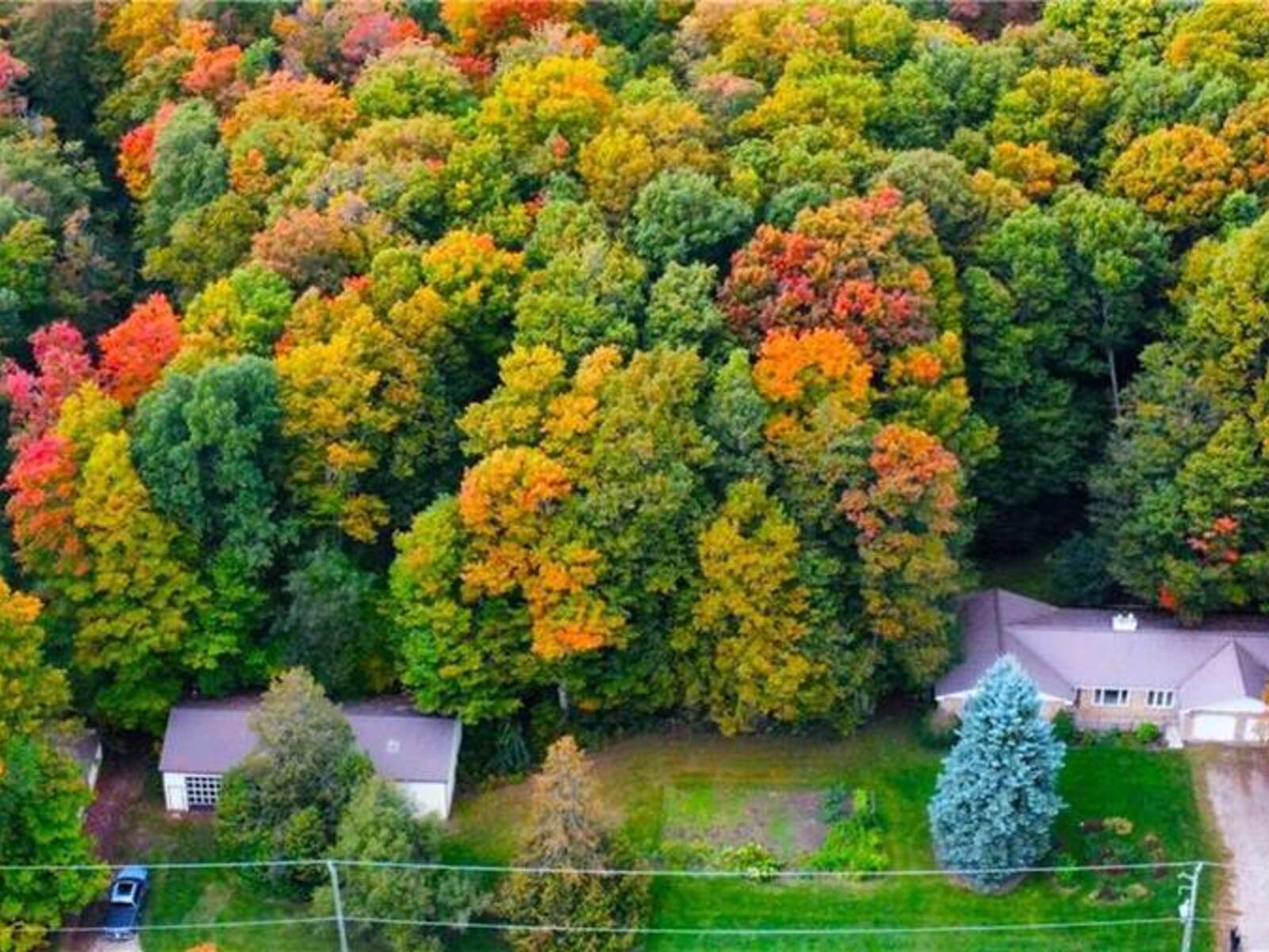 2018 GREENWOOD HILL Road, Wellesley, Ontario N0B 2T0