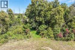 PT LT 1-2 NORFOLK COUNTY RD 19 E | Wilsonville Ontario | Slide Image Thirty-one