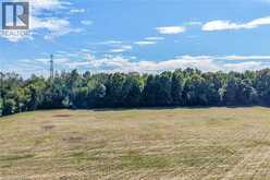 PT LT 1-2 NORFOLK COUNTY RD 19 E | Wilsonville Ontario | Slide Image Thirty-three