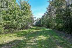 PT LT 1-2 NORFOLK COUNTY RD 19 E | Wilsonville Ontario | Slide Image Thirty-eight